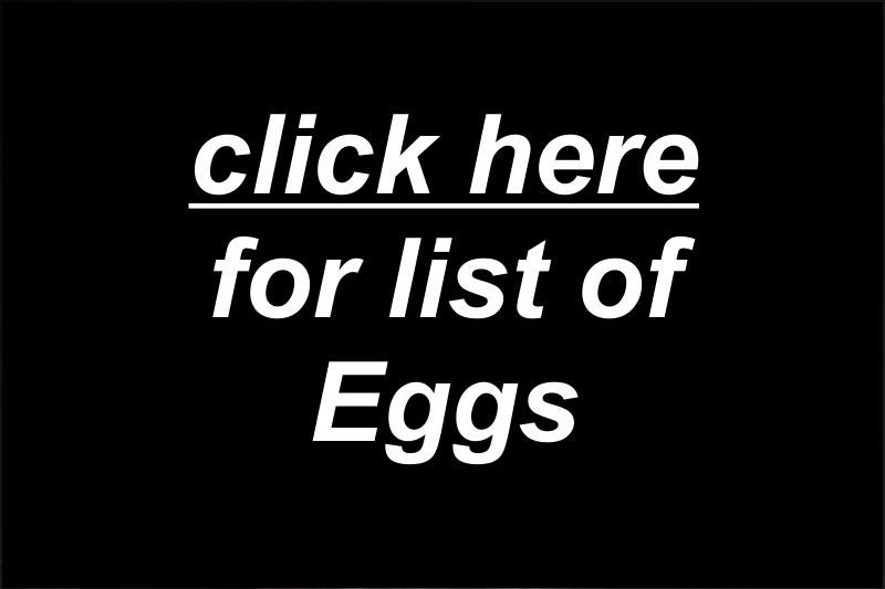 Eggs (NS)